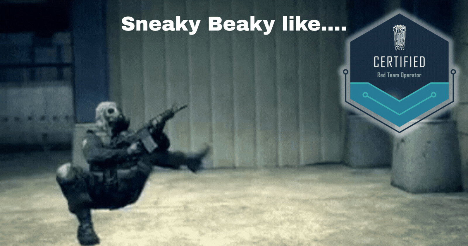 CRTO - Sneaky Beaky like.